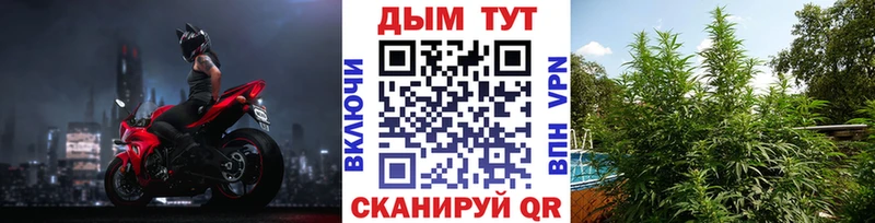 Бошки Шишки гибрид  наркота  Карабулак 